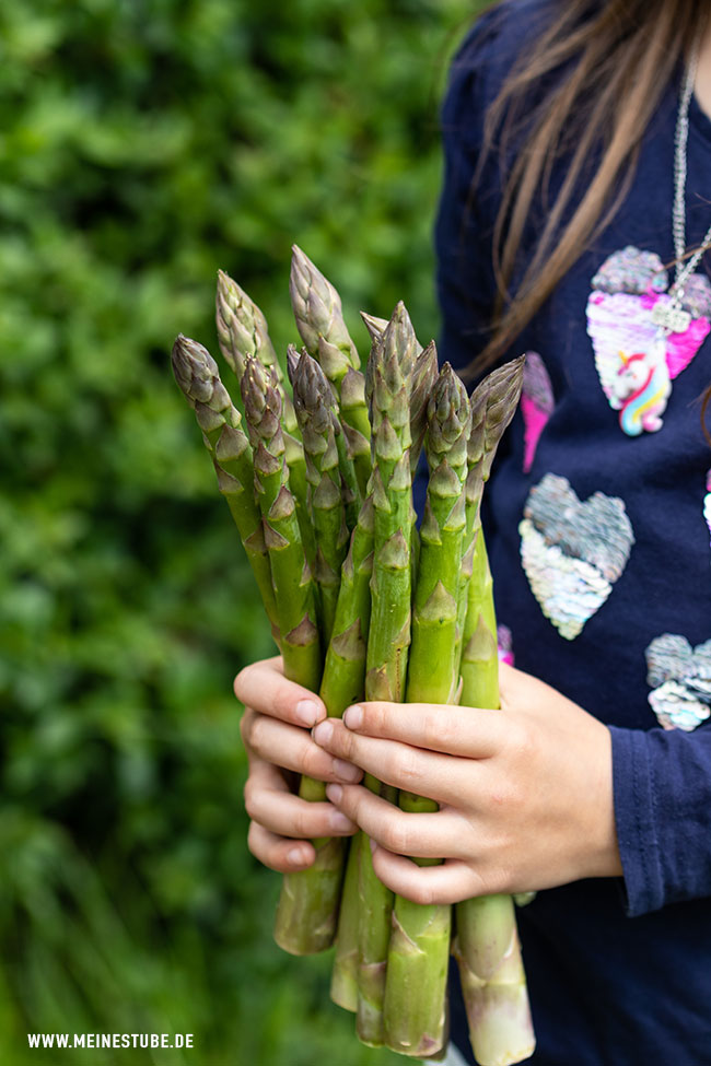 Spargel Saison mit grünem Spargel, meinestube